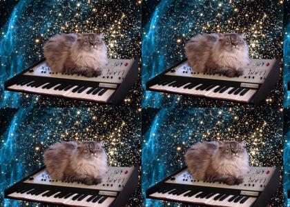 catonakeyboardinspace catonakeyboardinspace